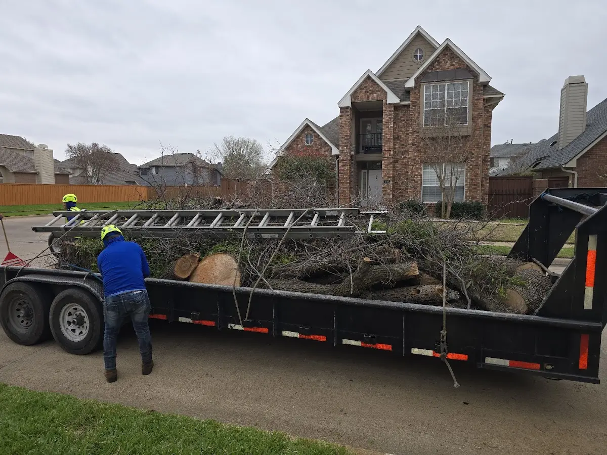 Expert Crown Reduction with proper safety equipment in Gaines